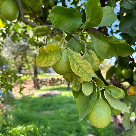 Dome Hotel & Casino Central Kyrenia ! Hotel