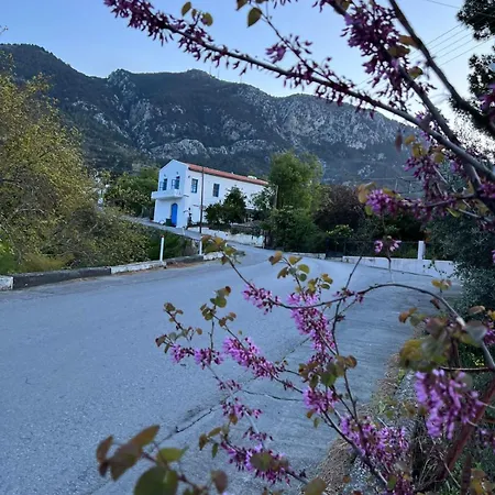 Dome Hotel & Casino Central Kyrenia ! 4*